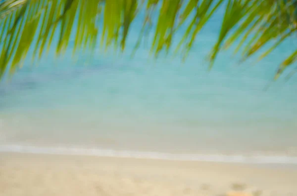 Blur palm leaf on tropical bokeh wave beach abstract background. — Stock Photo, Image
