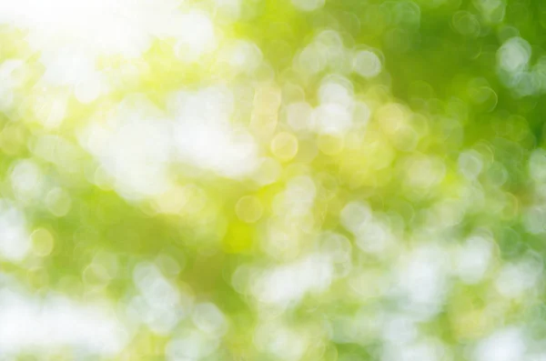 Kopie Raum der Natur grün Bokeh Sonnenlicht Fackel und verschwimmen Blatt abstrakte Textur Hintergrund. — Stockfoto
