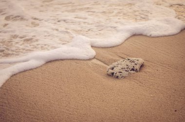 Pürüzsüz dalga ve kurutulmuş mercan günbatımı Plajı kapatın. Seyahat kavramı. 