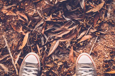 Spor ayakkabı ayakkabı sonbahar ile zeminde yukarıdan kurutulmuş yaprak ve ot arka plan kurutulmuş.