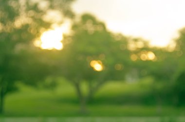 Yeşil Doğa Parkı ile bokeh güneş ışık kopya alan arka plan bulanıklık.