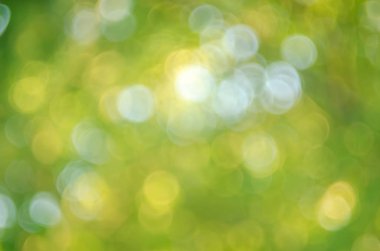 Bokeh güneş ışığı ile doğa yeşil yaprak