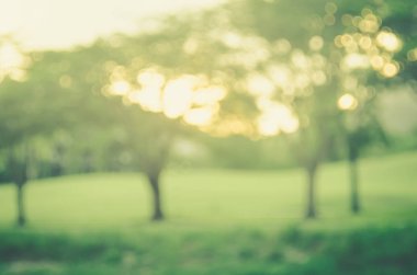 Yeşil doğa parkı ile güneş ışık arka plan bulanıklık. 