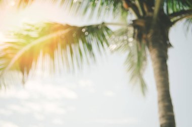 Kopya alanı bulanıklık palmiye yaprağı mavi gökyüzü ve bokeh güneş ligth Soyut doku arka plan beyaz bulutlar.