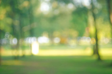 Yeşil Doğa Parkı ile güneş ışık kopya alan arka plan bulanıklık.