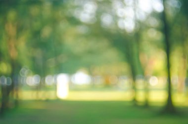 Yeşil Doğa Parkı ile güneş ışık kopya alan arka plan bulanıklık.