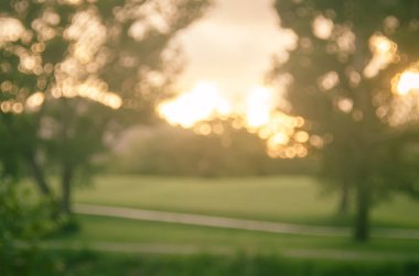 Yeşil Doğa Parkı ile bokeh güneş ışık kopya alan arka plan bulanıklık.