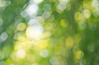 Doğa yeşil bokeh güneş ışık arka plan. 