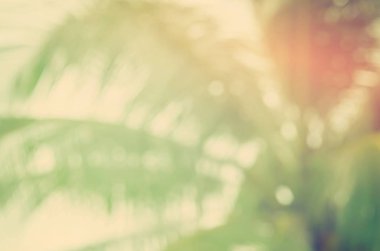 Kopya alanı bulanıklık palmiye yaprağı mavi gökyüzü ve bokeh güneş ligth Soyut doku arka plan beyaz bulutlar.