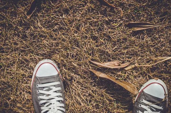 Вид сверху обуви на землю с осенним сухим листочком — стоковое фото