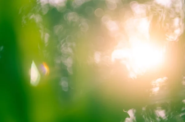 Χώρο αντίγραφο της φύσης bokeh πράσινο φως του ήλιου αναλαμπής και blur φύλλων αφηρημένη υφή φόντου. — Φωτογραφία Αρχείου