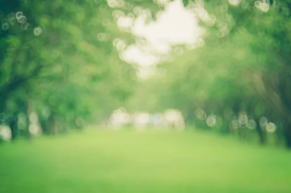 Verwischen Natur grün Park abstrakten Hintergrund. — Stockfoto