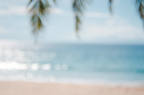 Blur beautiful nature green palm leaf on tropical beach with bokeh sun light wave abstract background. — Stock Photo, Image