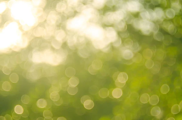 Kopie Raum der Natur grün Bokeh Sonnenlicht Fackel und verschwimmen Blatt abstrakte Textur Hintergrund. — Stockfoto