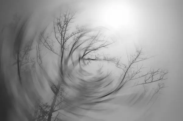 Absztrakt motion blur szárított sziluett fa ág háttér. — Stock Fotó