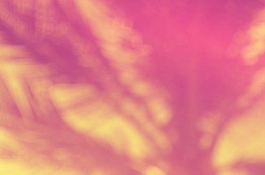 Kopya alanı bulanıklık palmiye yaprağı mavi gökyüzü ve bokeh güneş ligth Soyut doku arka plan beyaz bulutlar.