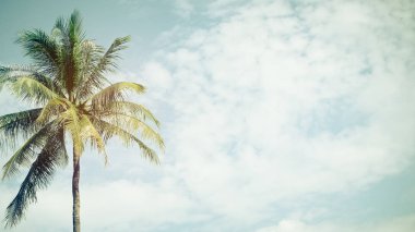 Gökyüzü arka planında güneş ışığı olan tropikal palmiye ağacını kopyala.
