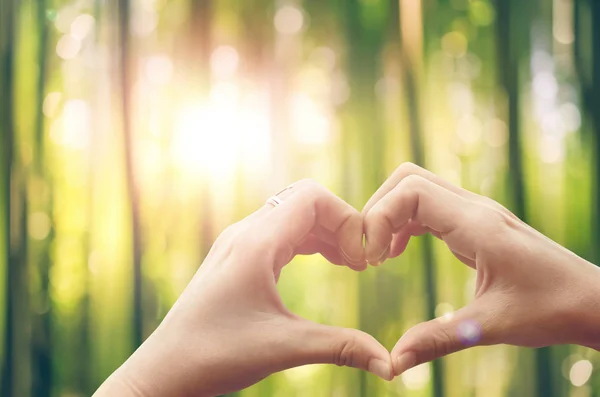 Weibliche Hände Herzform auf Natur grün Bokeh Sonnenlicht Fackel und verschwimmen Blatt abstrakten Hintergrund. — Stockfoto