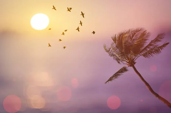 Blur τροπικά sunset beach με Φοίνικα, τα πουλιά πετούν και bokeh ήλιο κύμα φωτός αφηρημένα φόντο. — Φωτογραφία Αρχείου