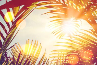 Tropikal palmiye ağacı günbatımı gökyüzü bulut arka plan üzerinde renkli bokeh güneş ışığı ile.