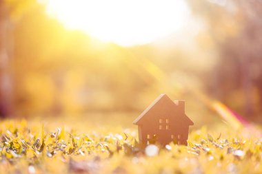 Ev ve yaşam kavramının alanı kopyalayın. Küçük model ev güneş ışığı arka plan ile yeşil çimenlerin üzerinde.