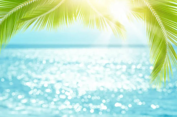 Sfocatura bella natura foglia di palma verde sulla spiaggia tropicale con bokeh sole onda di luce sfondo astratto . — Foto Stock