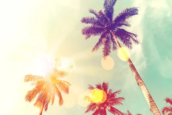 Tropische Palme mit bunten Bokeh Sonnenlicht auf Sonnenuntergang Himmel Wolke abstrakten Hintergrund. — Stockfoto