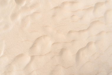 Kum plaj doku arka plan kopya alanı.