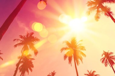 Tropikal palmiye ağacı günbatımı gökyüzü bulut arka plan üzerinde renkli bokeh güneş ışığı ile.