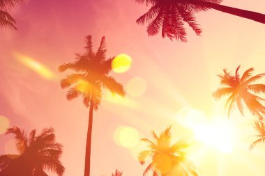 Tropikal palmiye ağacı günbatımı gökyüzü bulut arka plan üzerinde renkli bokeh güneş ışığı ile.
