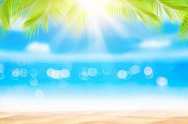Güzel doğa yeşil palmiye yaprağı bokeh güneş ışık dalga arka plan ile tropik sahilde bulanıklık.