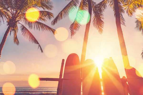 Surfbrett und Palme am Strand. — Stockfoto