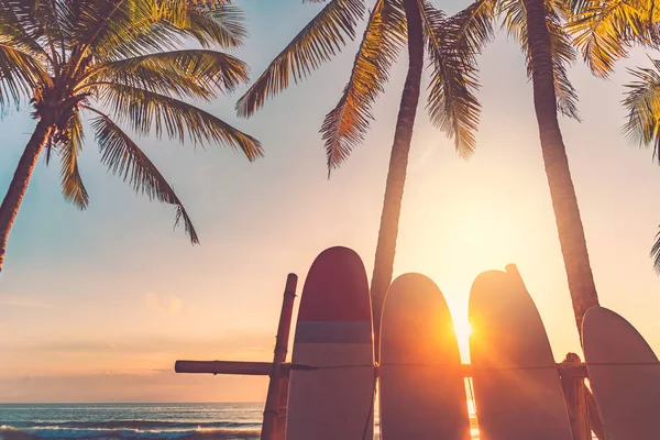 Доска для серфинга и пальмовое дерево на пляжном фоне . — стоковое фото