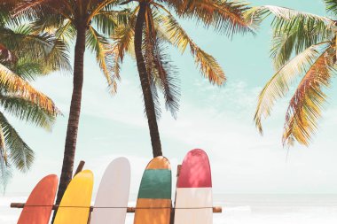 Plaj arka plan üzerinde sörf tahtası ve palmiye ağacı.