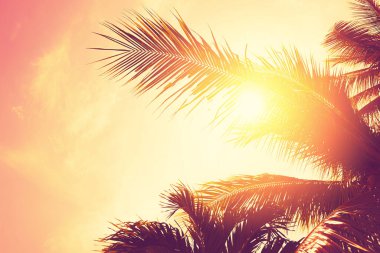 Gün batımı gökyüzü bulut soyut arka plan tropikal palmiye ağacı.