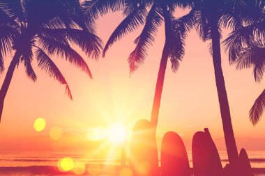 Plaj arka plan üzerinde sörf tahtası ve palmiye ağacı.