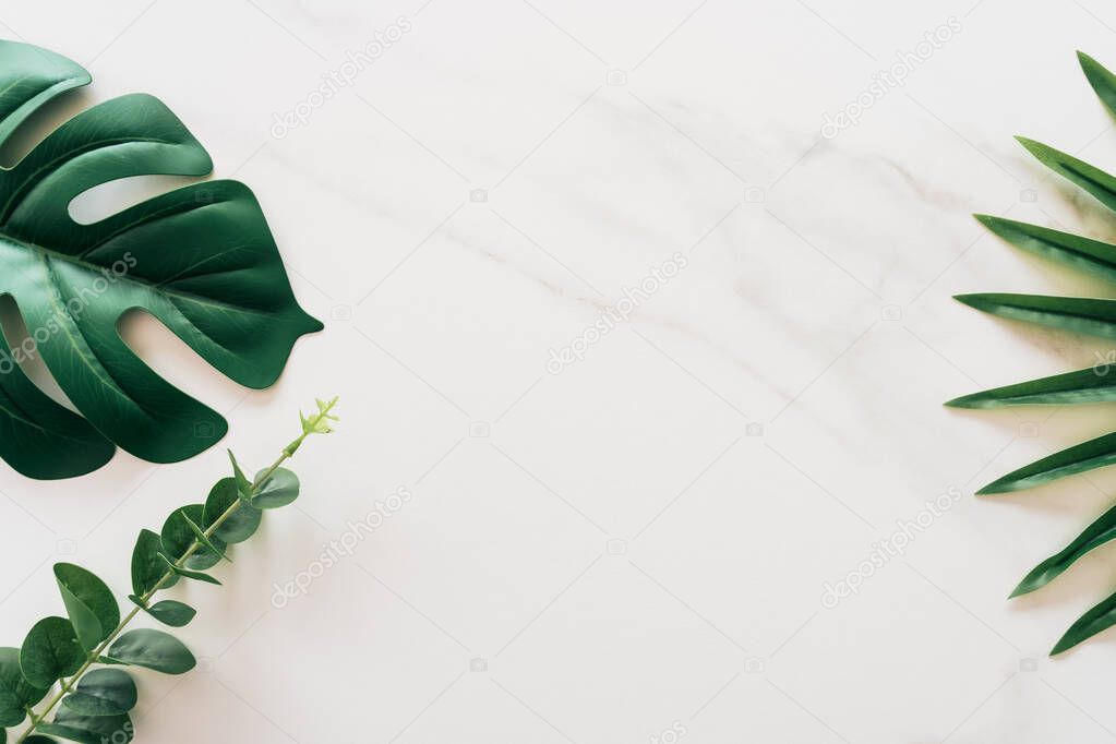 Tropical green leaf on white marble texture abstract background. 