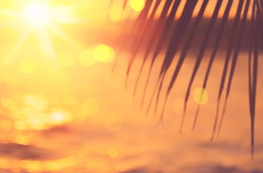Güzel doğa yeşil palmiye yaprağı tropikal günbatımı plaj bokeh ışık dalga arka plan ile bulanıklık. Yaz tatil ve iş seyahat kavramının alanı kopyalayın. Vintage sesi filtre renk stili.