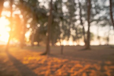 Görüntü parkı ve ağaç Bokeh gün batımı ışık soyut arka plan. Doğa ve çevre kavramı için alanı kopyala. Klasik ton filtre efekti renk biçimi.