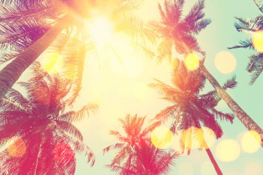 Gün batımında güneş ışığı alan tropikal palmiye ağaçlarının gölgelerini kopyala ve soyut bir zemin oluştur. Yaz tatili ve doğa yolculuğu macera konsepti. Klasik ton filtre efekti renk biçimi.