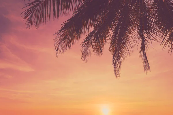 Kopie Raum Der Tropischen Palme Mit Sonnenlicht Auf Blauem Himmel — Stockfoto