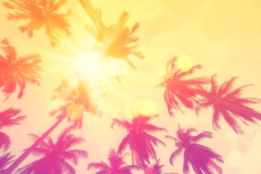 Gün batımında güneş ışığı alan tropikal palmiye ağaçlarının gölgelerini kopyala ve soyut bir zemin oluştur. Yaz tatili ve doğa yolculuğu macera konsepti. Klasik ton filtre efekti renk biçimi.