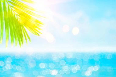 Bulanık, yeşil palmiye yaprağı tropikal plajda, Bokeh güneş ışığı dalgası soyut arka planda. Yaz tatili ve iş seyahati konseptini kopyala. Klasik ton filtre efekti renk biçimi