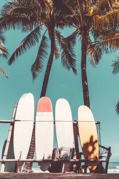 Surfboard Και Φοίνικα Μπλε Ουρανό Φόντο Παραλία Ταξιδιωτικός Αθλητισμός Περιπέτειας — Φωτογραφία Αρχείου