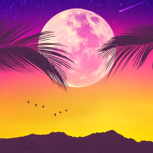 Silhouette palm tree with bird flying on sunset sky and full moon star abstract background. Copy space of summer vacation and travel adventure concept. Retro tone filter effect color style.