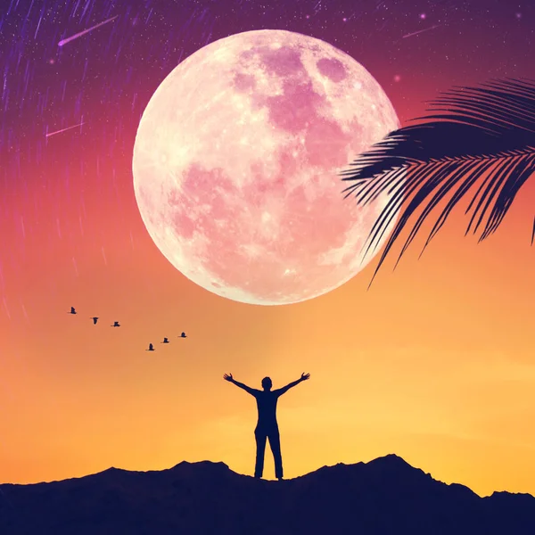 Man raise hand up on sunset sky birds fly with full moon and palm leaf abstract background. Copy space of freedom travel adventure and business victory concept. Vintage tone filter effect color style.