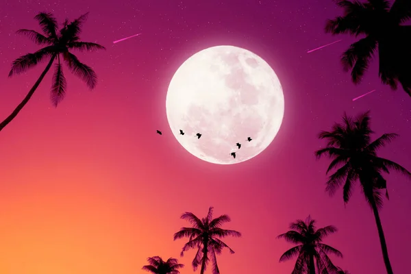 Noite Tropical Lua Cheia Folhas Palmeira Pássaros Voar Fundo Abstrato — Fotografia de Stock