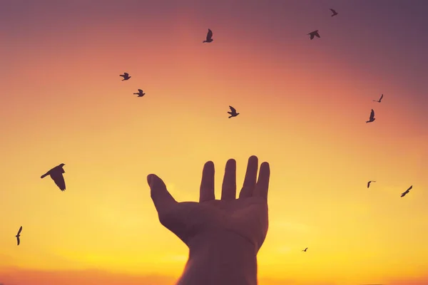 Man raise open hand up on sunset sky with birds fly abstract background. Copy space of freedom travel adventure and business victory concept. Vintage tone filter effect color style.