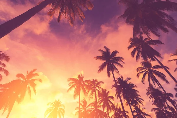 夕日の空と雲の抽象的な背景に太陽の光とシルエット熱帯ヤシの木のコピースペース 夏休みと自然旅行の冒険の概念 ヴィンテージトーンフィルターエフェクトカラースタイル — ストック写真