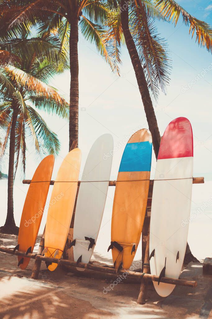 Surfboard and palm tree with blue sky on beach background. Travel adventure sport and summer vacation concept. Vintage tone filter effect color style.